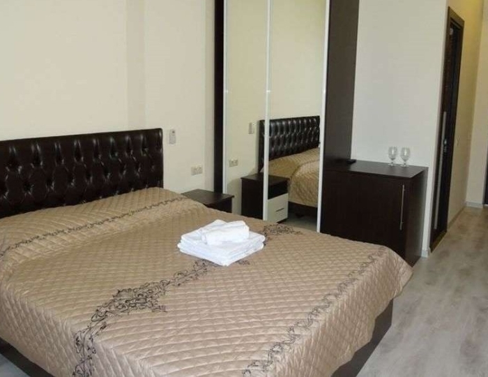 Стандарт 2-местный стандарт 1-комнатный - Отель «Luisa» Гагра