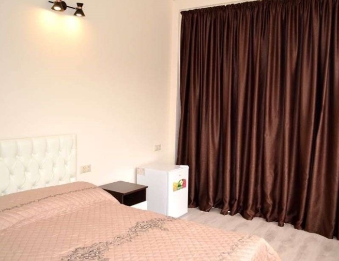 Стандарт 2-местный стандарт 1-комнатный - Отель «Luisa» Гагра